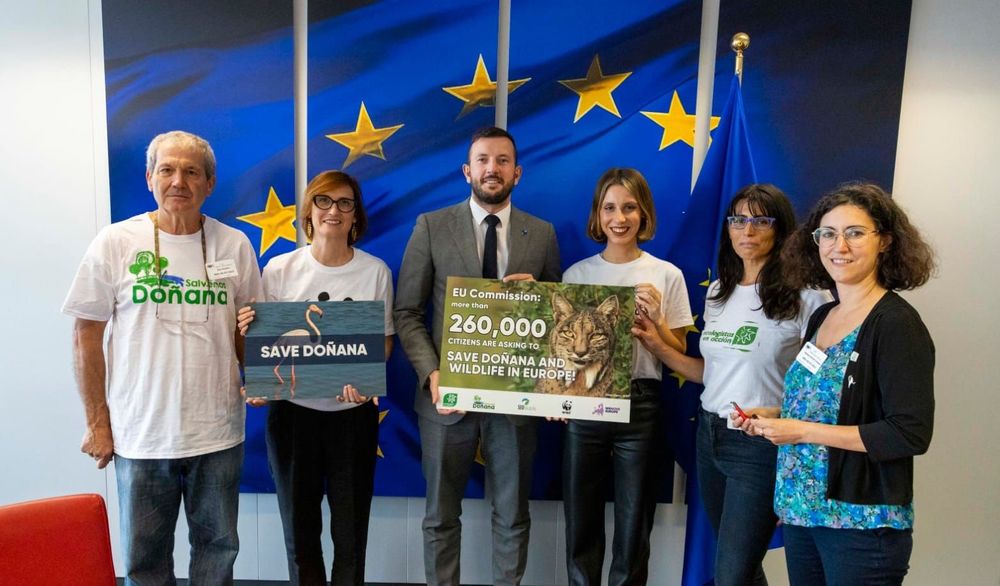 Grupa sześciu osób stoi przed flagą UE, trzymając transparenty z napisami "Ratujmy Doñanę" i "Komisjo Europejska: ponad 260 000 obywateli apeluje o ratowanie Doñany i dzikiej przyrody w Europie!"