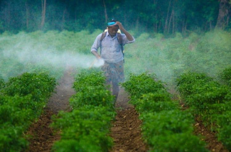 Une tasse de café sur cinq vendue en Europe contient des pesticides toxiques, notamment des substances chimiques déjà interdites par l'UE. Signez la pétition pour que notre café ne contienne plus de substances toxiques !
