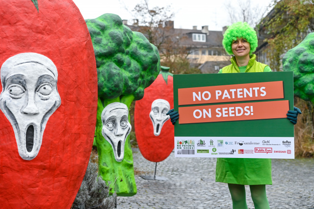 Unsere Partner “Keine Patente auf Saatgut” planen, sich aus Protest vor dem EPA-Büro in München als schreiendes Gemüse zu verkleiden.