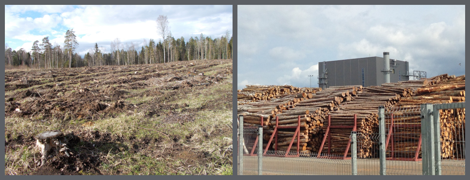 Abholzung eines Waldes im Bezirk Jarva, Estland, 2018 (links). Holzverbrennungsanlage im Kreis Võru, Estland, 2019. (rechts) Credit: Peg Putt