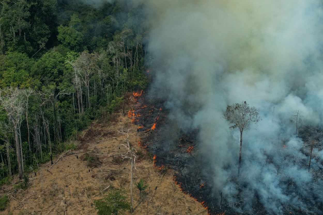 Photo eines Waldbrands im Amazonas