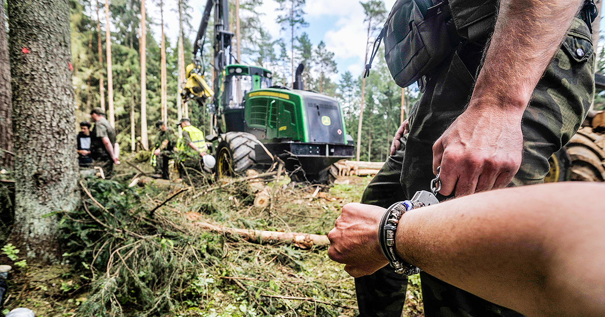 Sign the petition Justice for the Forest Defenders