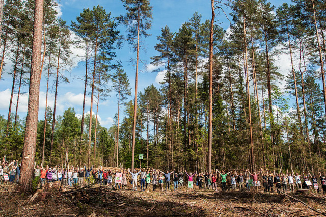 Aktion im Wald