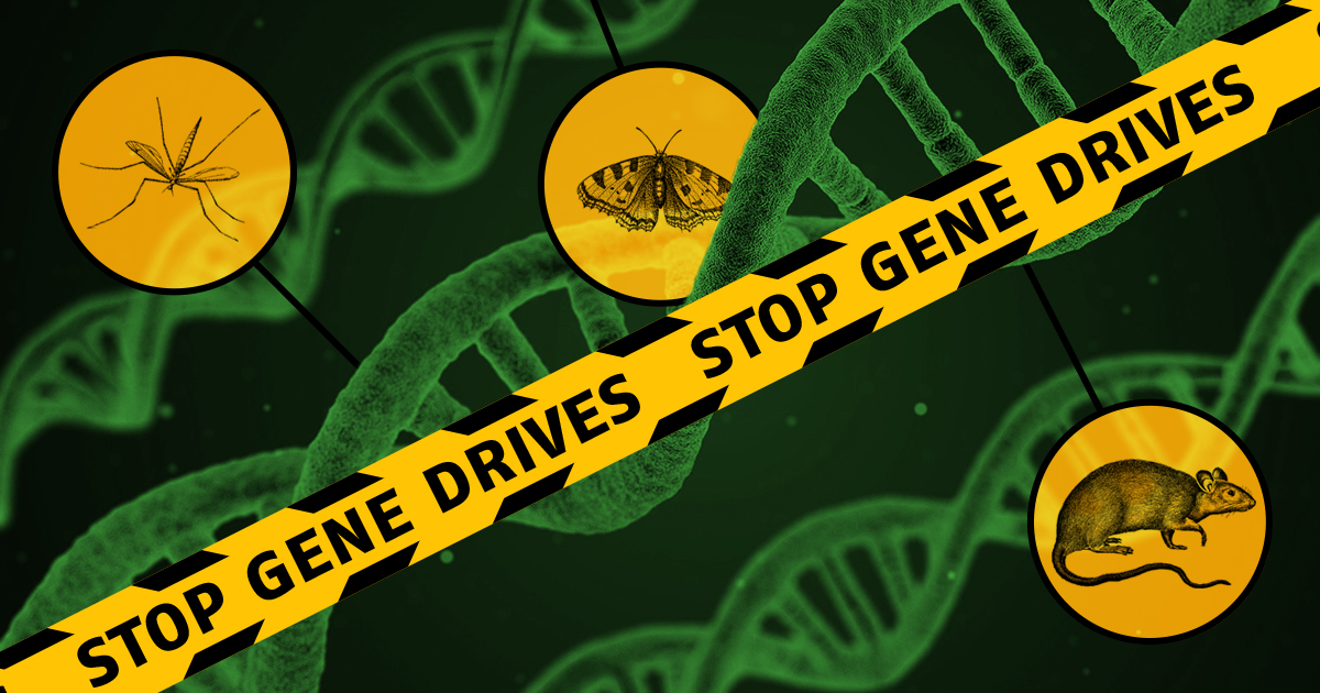 Gefahr Gene Drive