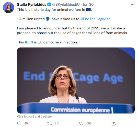 Tweet von Stella Kyriakides